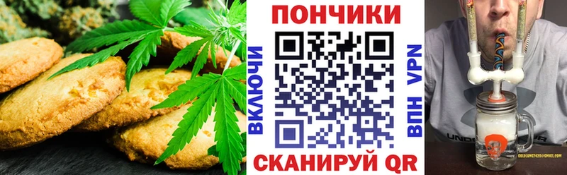 MEGA онион  Краснослободск  Canna-Cookies марихуана  купить наркотик 